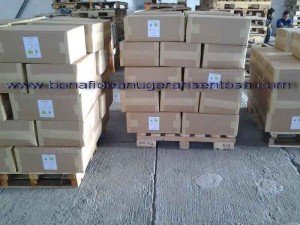 coconut sugar sent kuwait