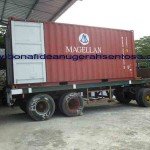 virgin coconut oil send Japan 3