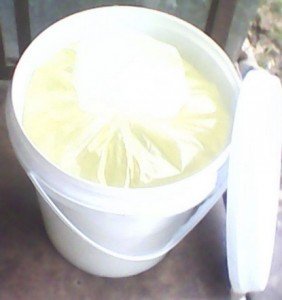 coconut oil bulk