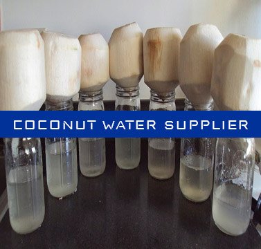 organic coconut sugar factory - coconut water supplier indo