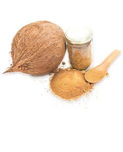 Coconut Sugar Supplier - sri lanka natural sugar