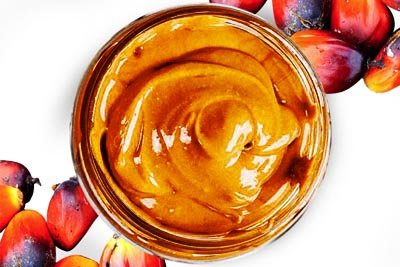 Hurma Asit Yağı Tedarikçileri