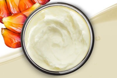 RBD Hurma Çekirdeği Yağı tedarikçisi