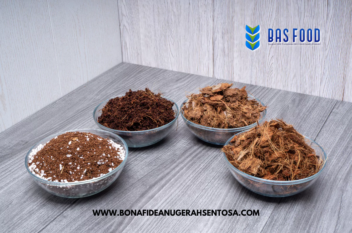 coco peat price latest cost per kg per ton