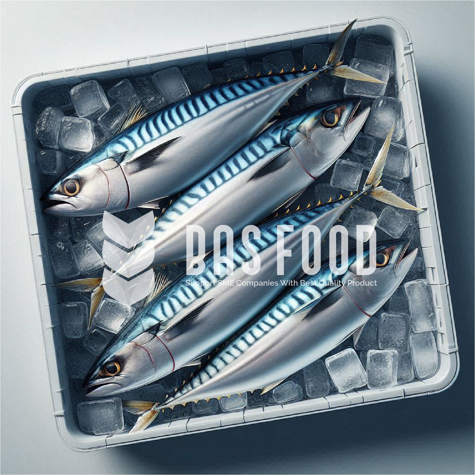 cv bonafide anugerah sentosa is tuna mackerel fish trader