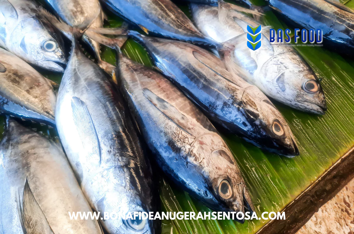 yellowfin tuna suppliers indonesia