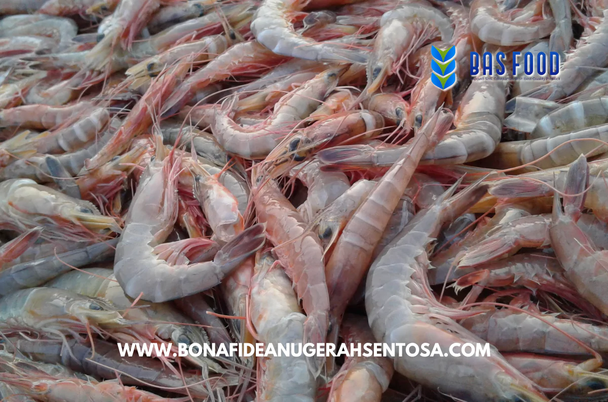 buy vannamei shrimp in bulk