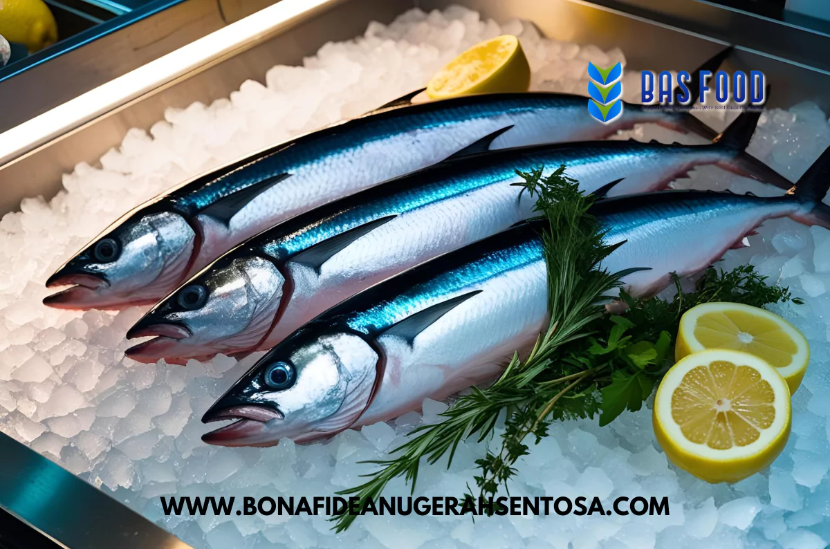 mackerel tuna premium fish indonesian waters