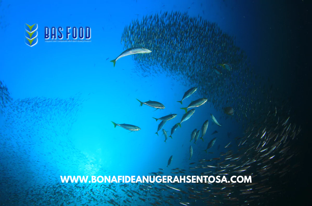 mackerel tuna sustainability