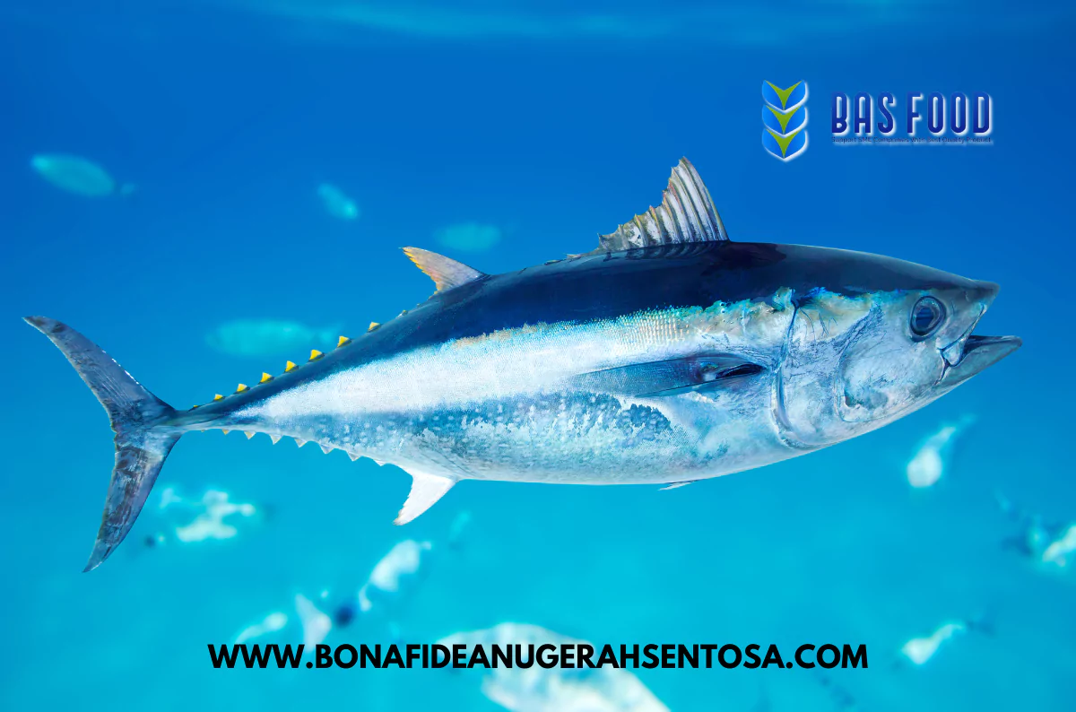 yellowfin tuna supplier indonesia