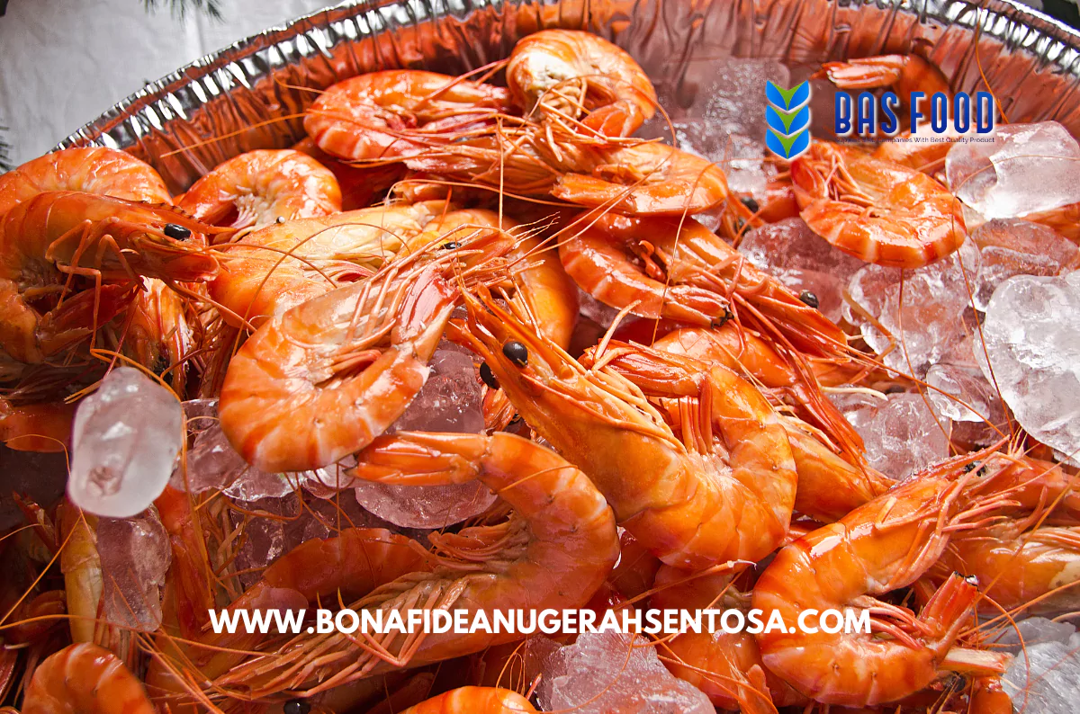 frozen vannamei shrimp