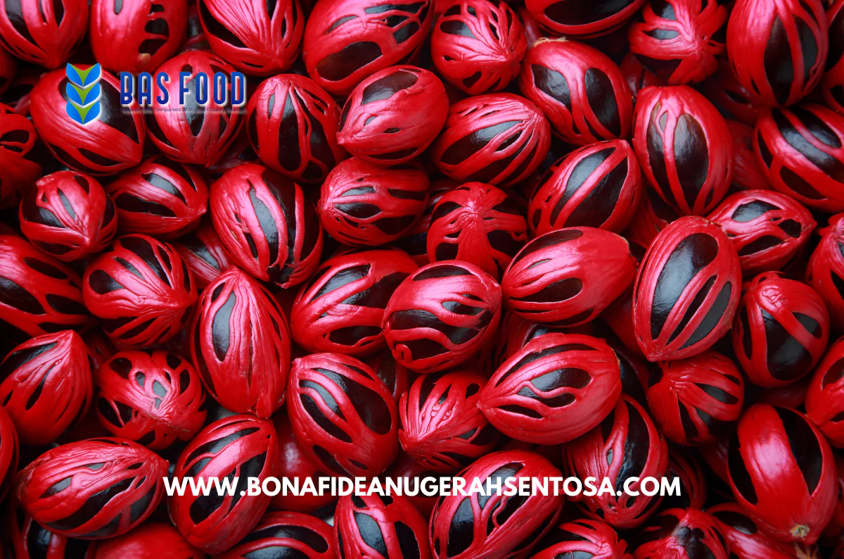 indonesia nutmeg wholesale