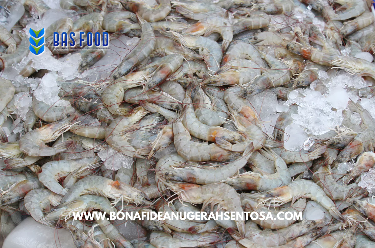 indonesia vannamei shrimp supplier