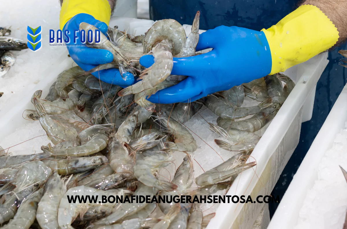 sell vannamei shrimp in bulk