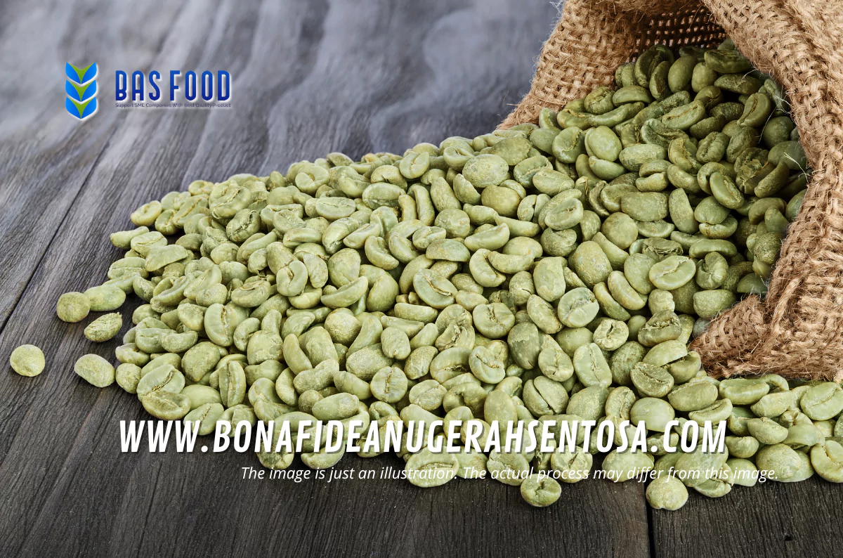 bulk green robusta coffee mandailing