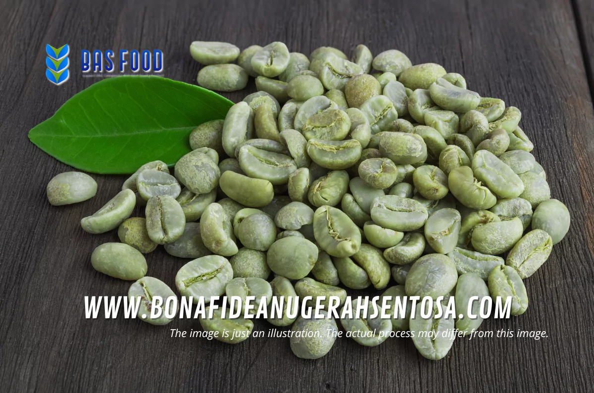 green robusta coffee mandailing flavor