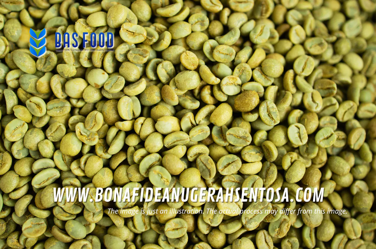 green robusta coffee mandailing uniqueness