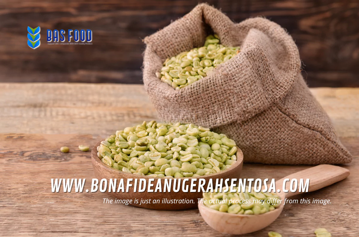 green robusta coffee supplier indonesia