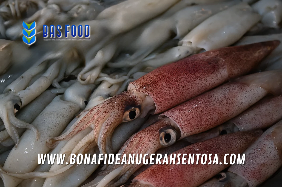 indonesian squid vs other origins best value