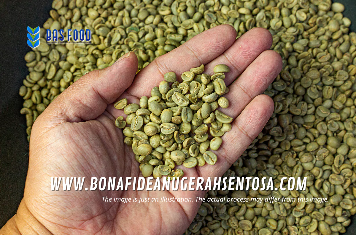sustainable traceable green robusta coffee mandailing