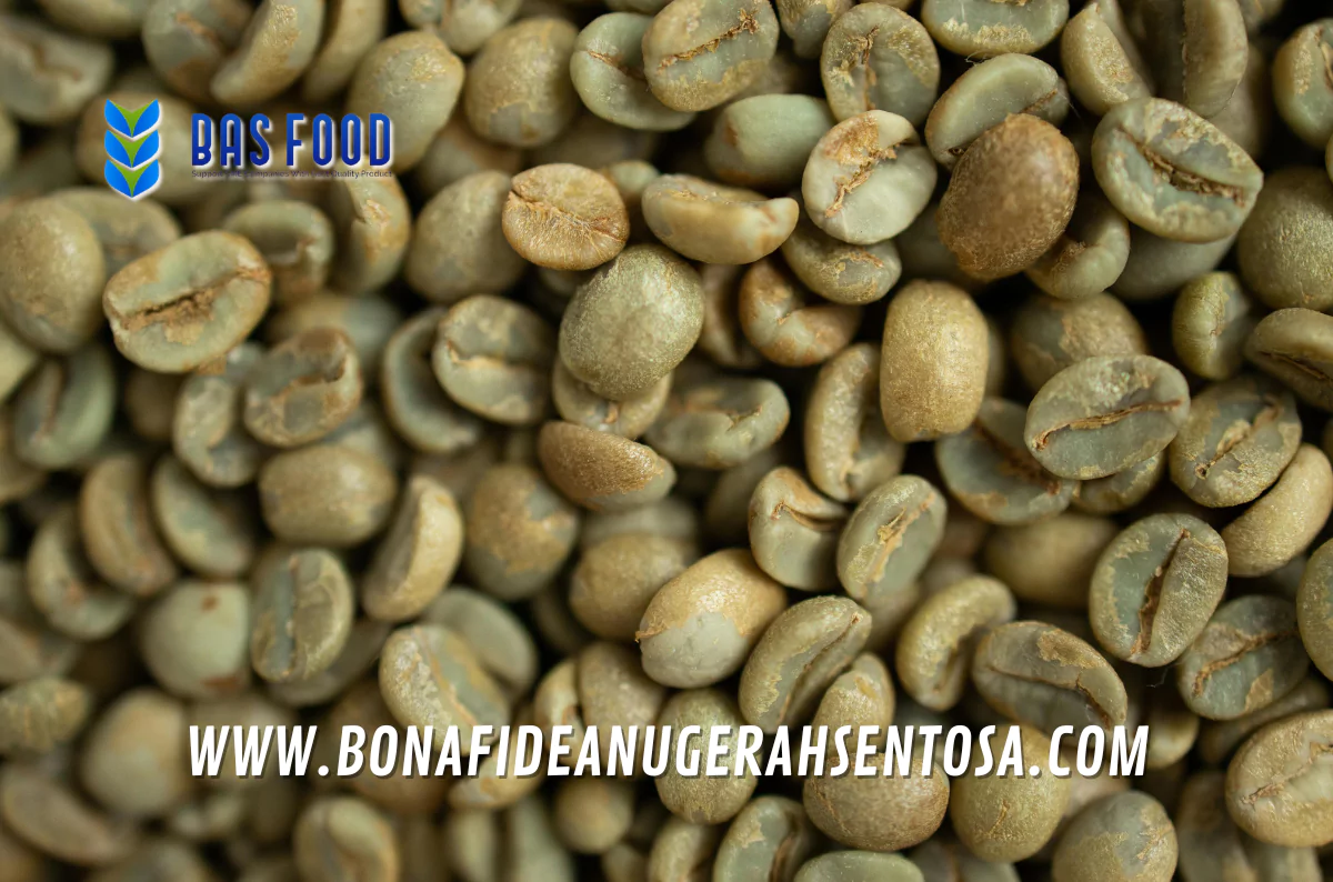 green beans robusta coffee ap supplier