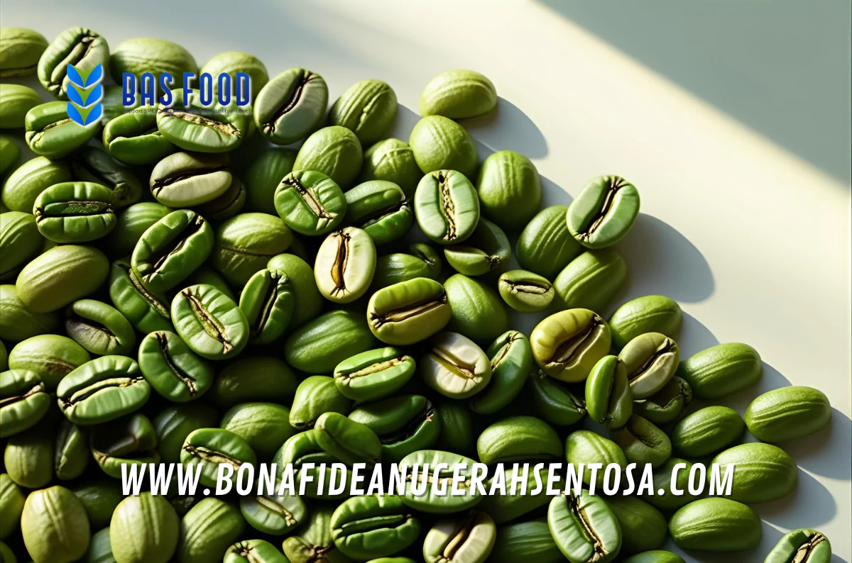 green beans robusta coffee elb supplier