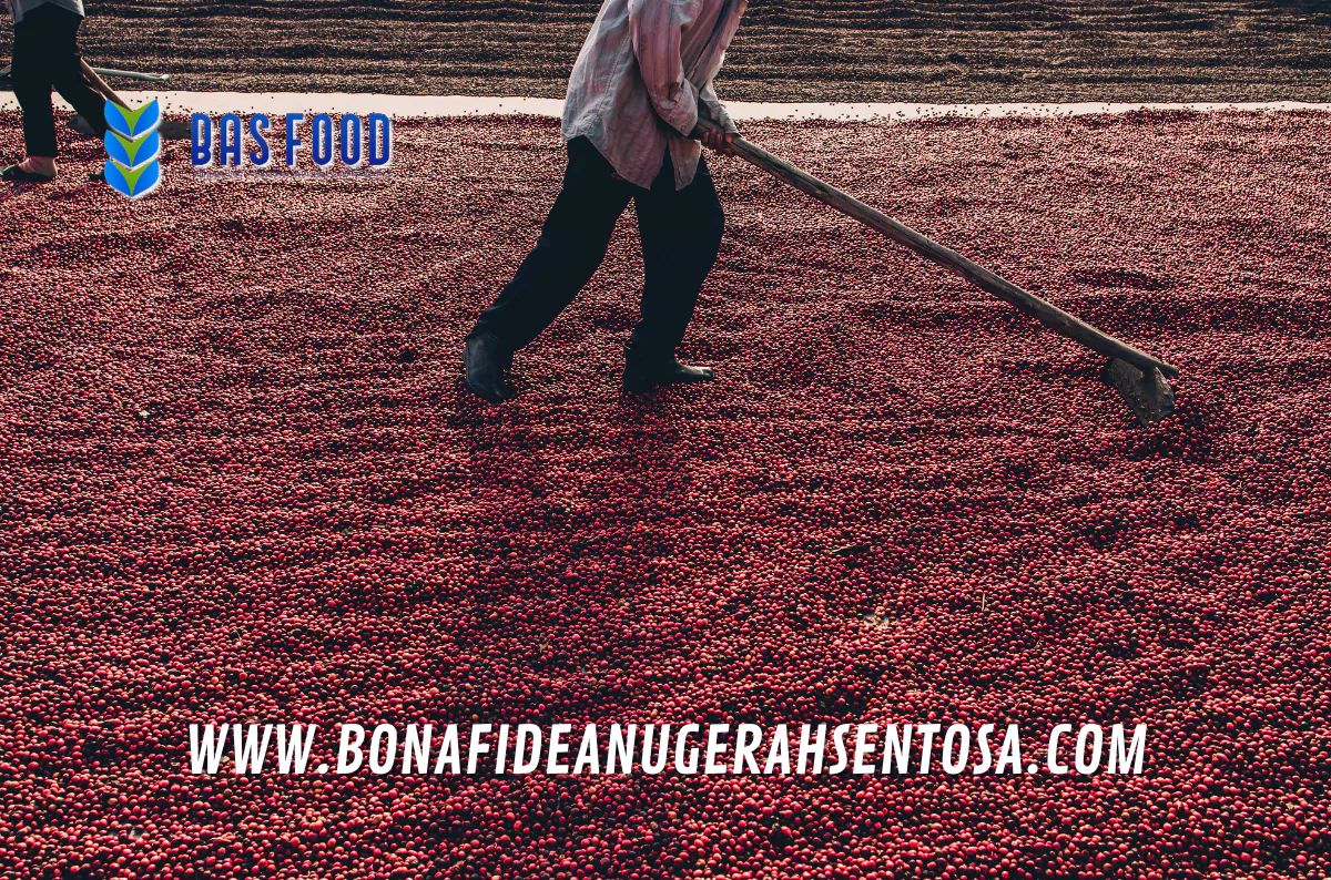 importing green coffee from indonesia