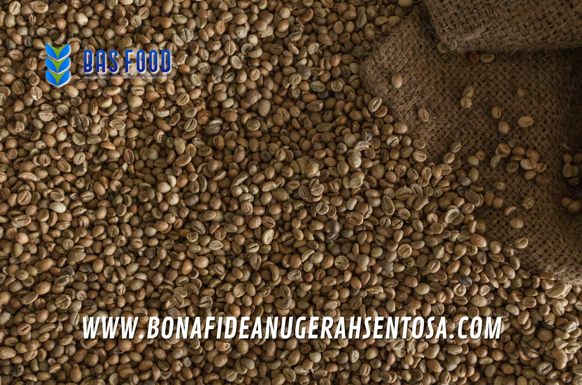 origins of mandailing robusta