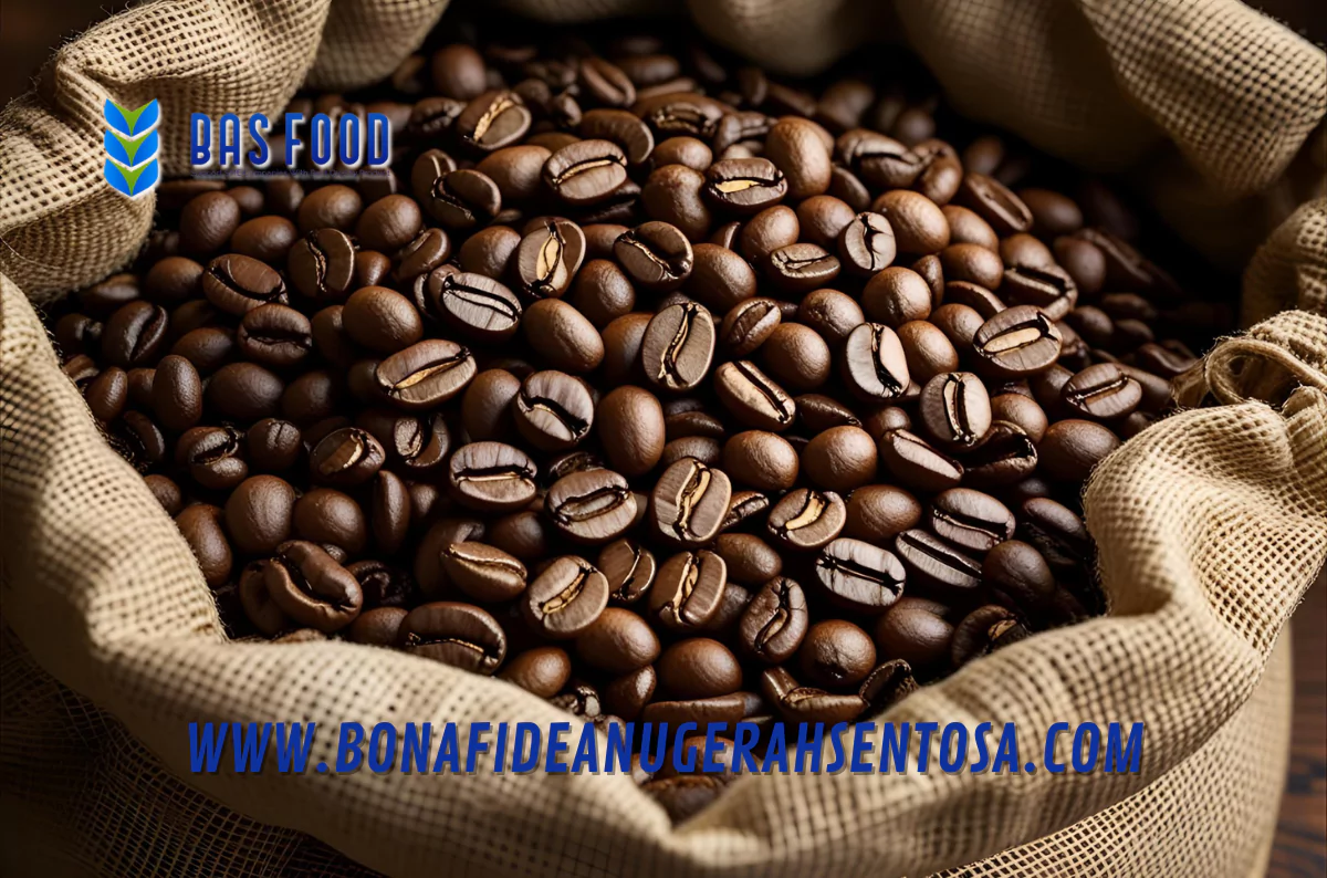 robusta ap coffee exporter indonesia