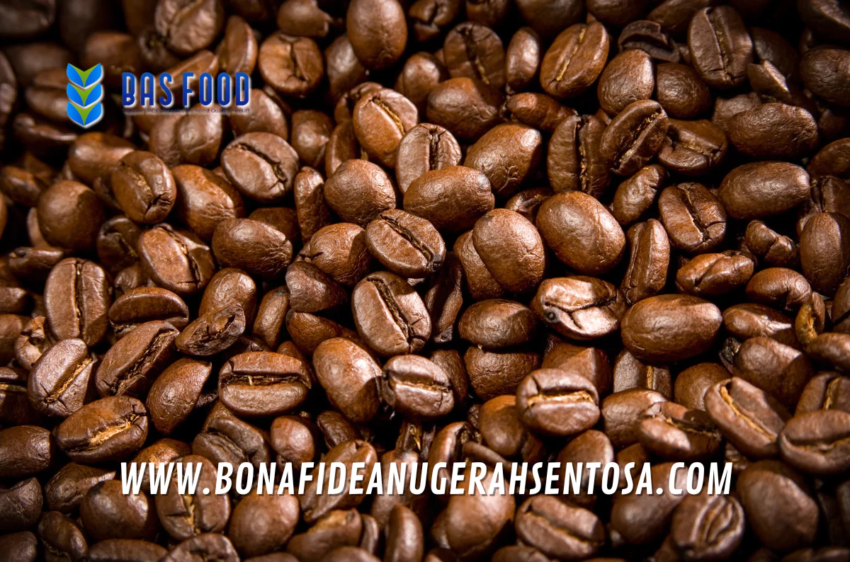 robusta coffee elb for roasters