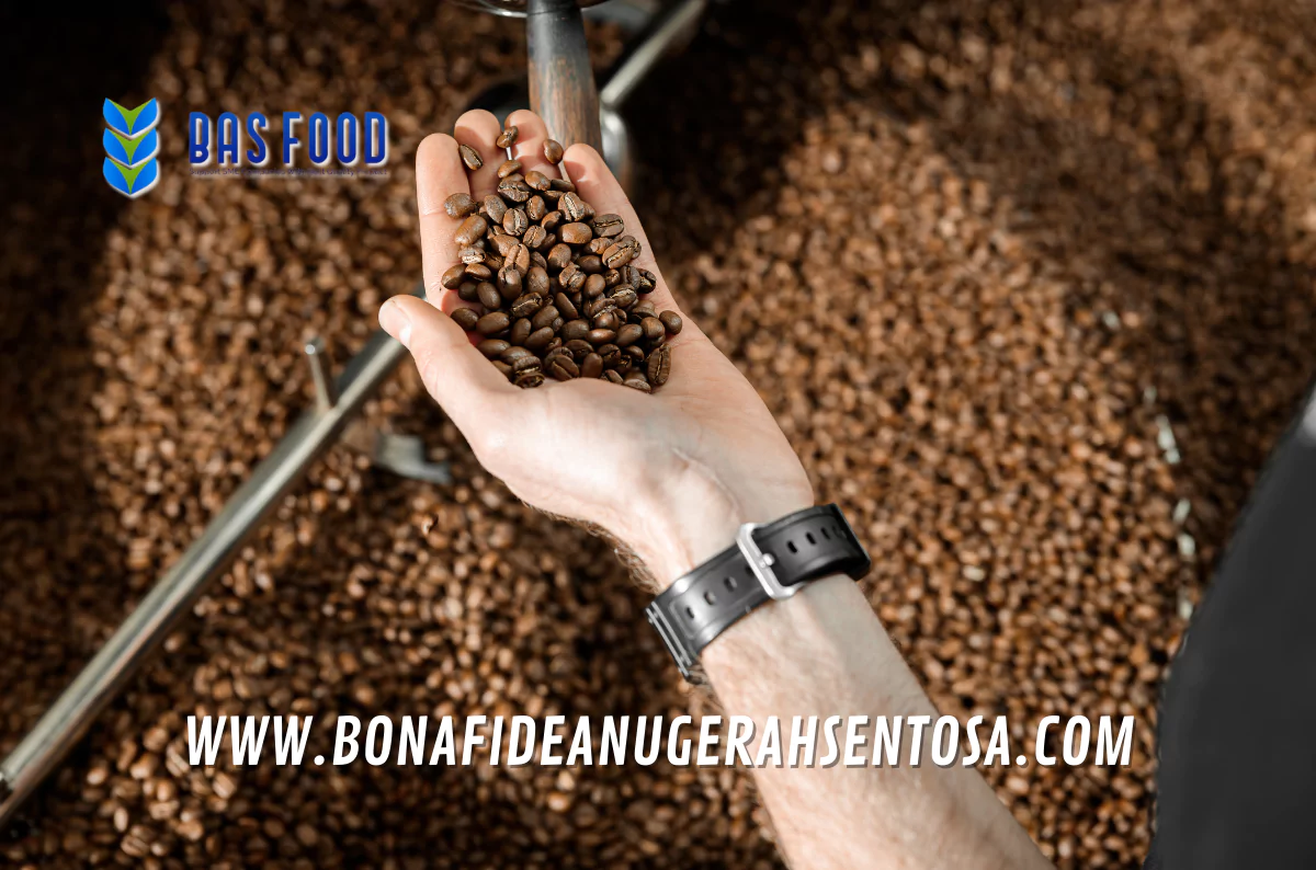 robusta ek1 coffee exporter