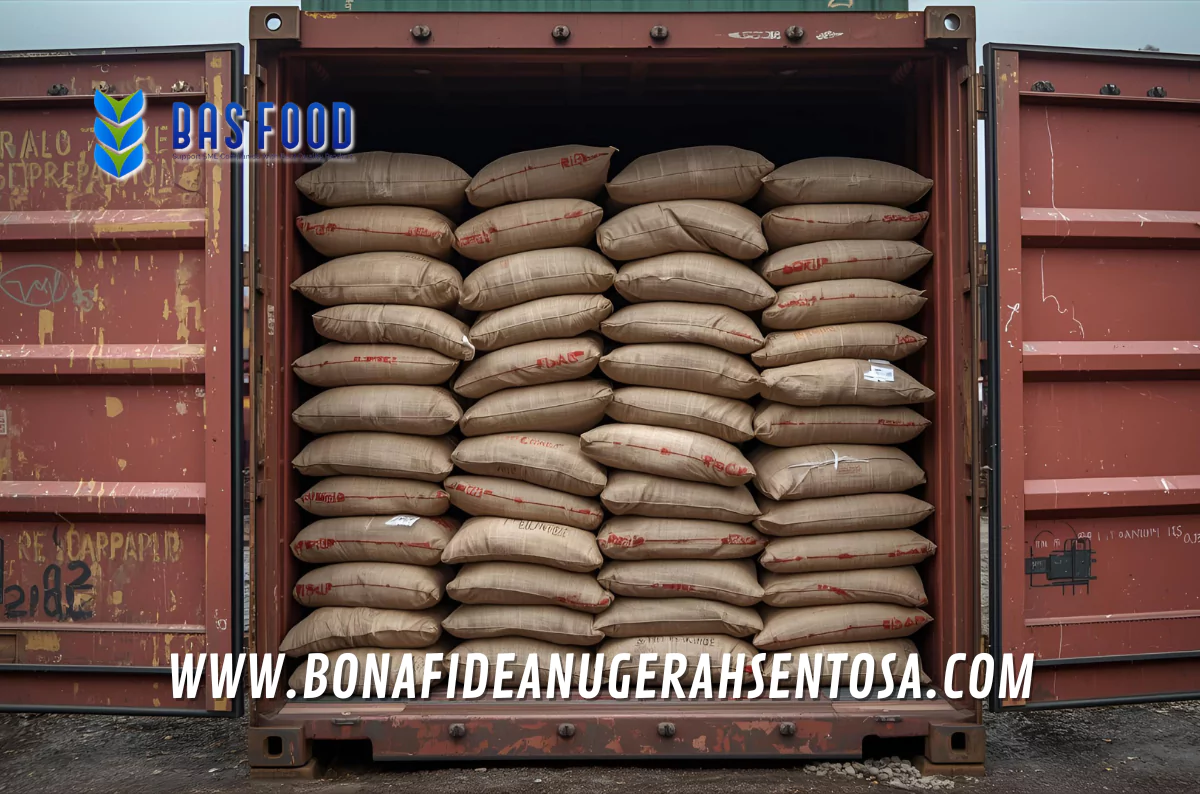 ap robusta coffee supplier