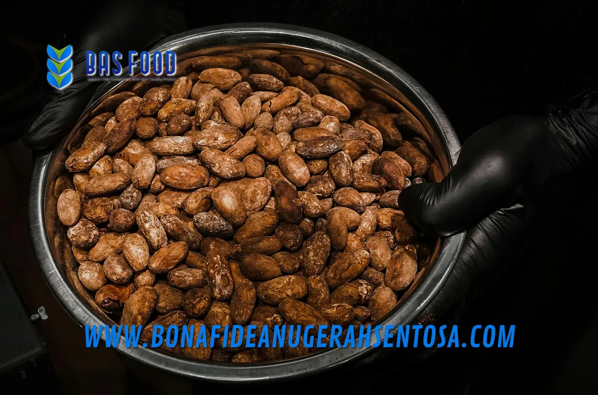 cocoa roasting effect on powder quality