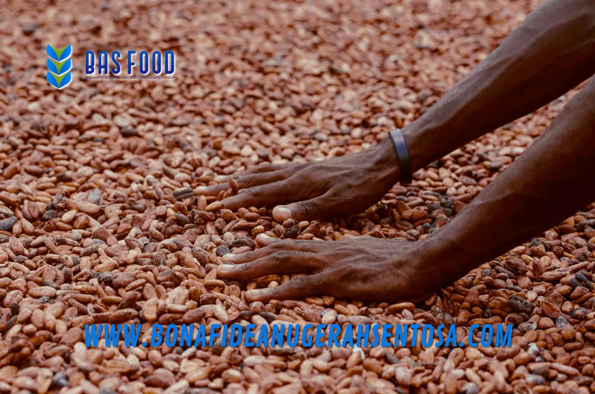 industrial cocoa powder specs
