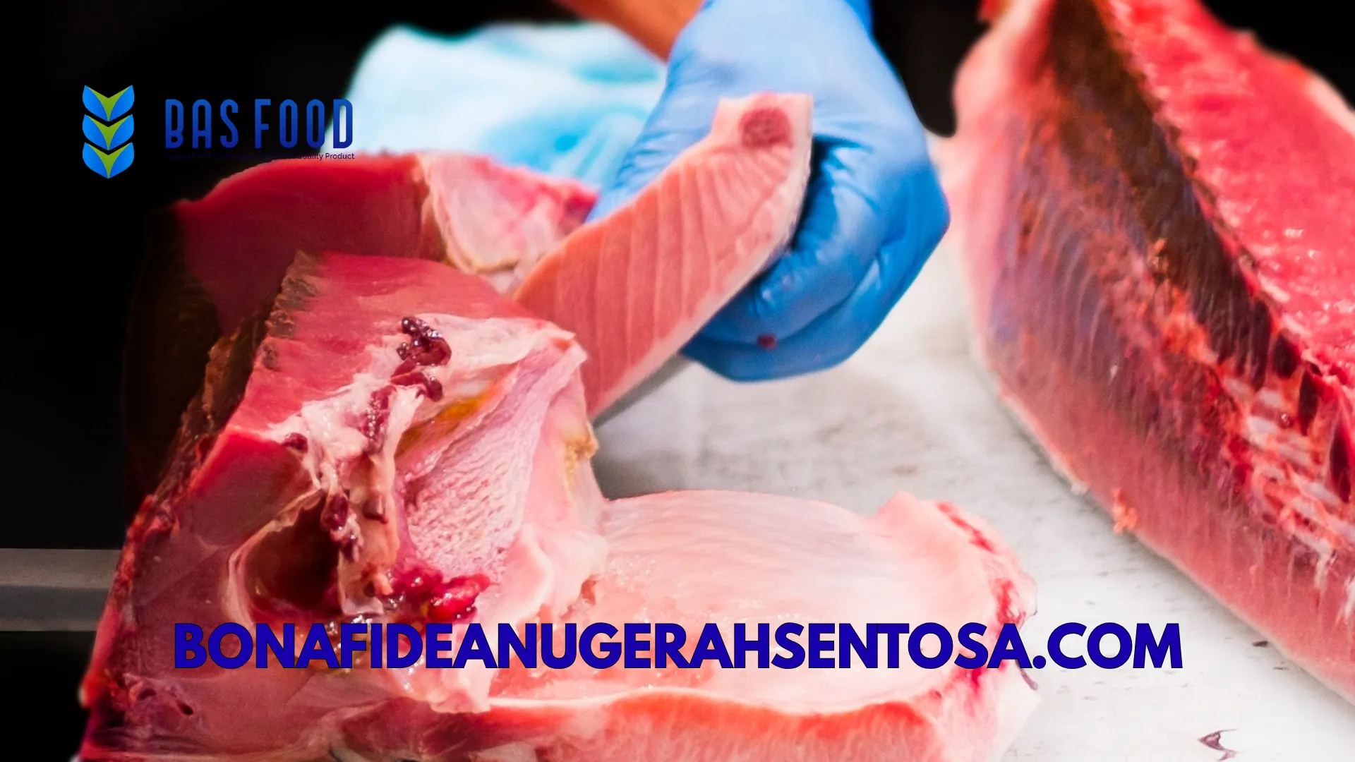 bluefin tuna quality standards