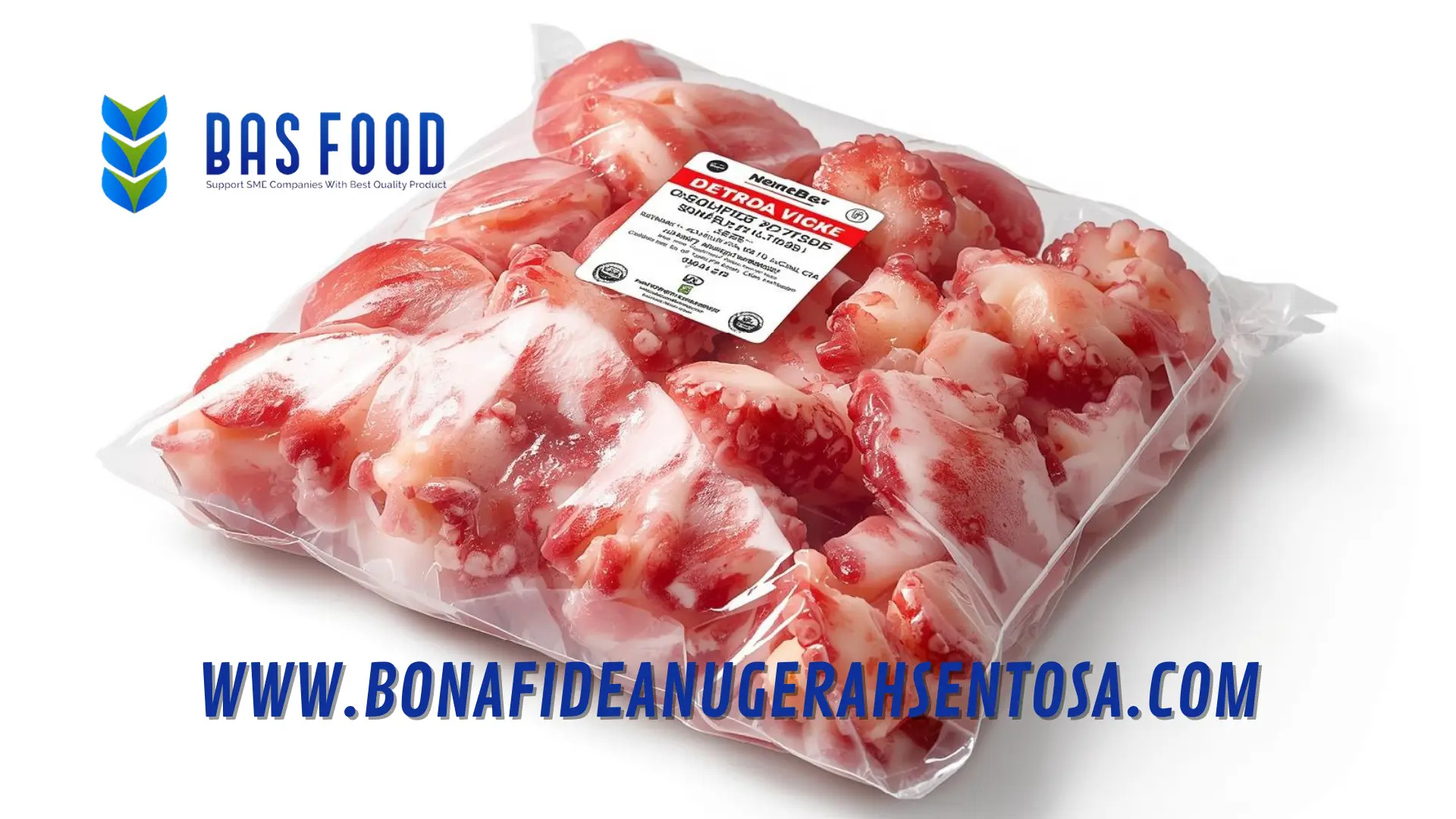 bulk octopus vulgaris orders