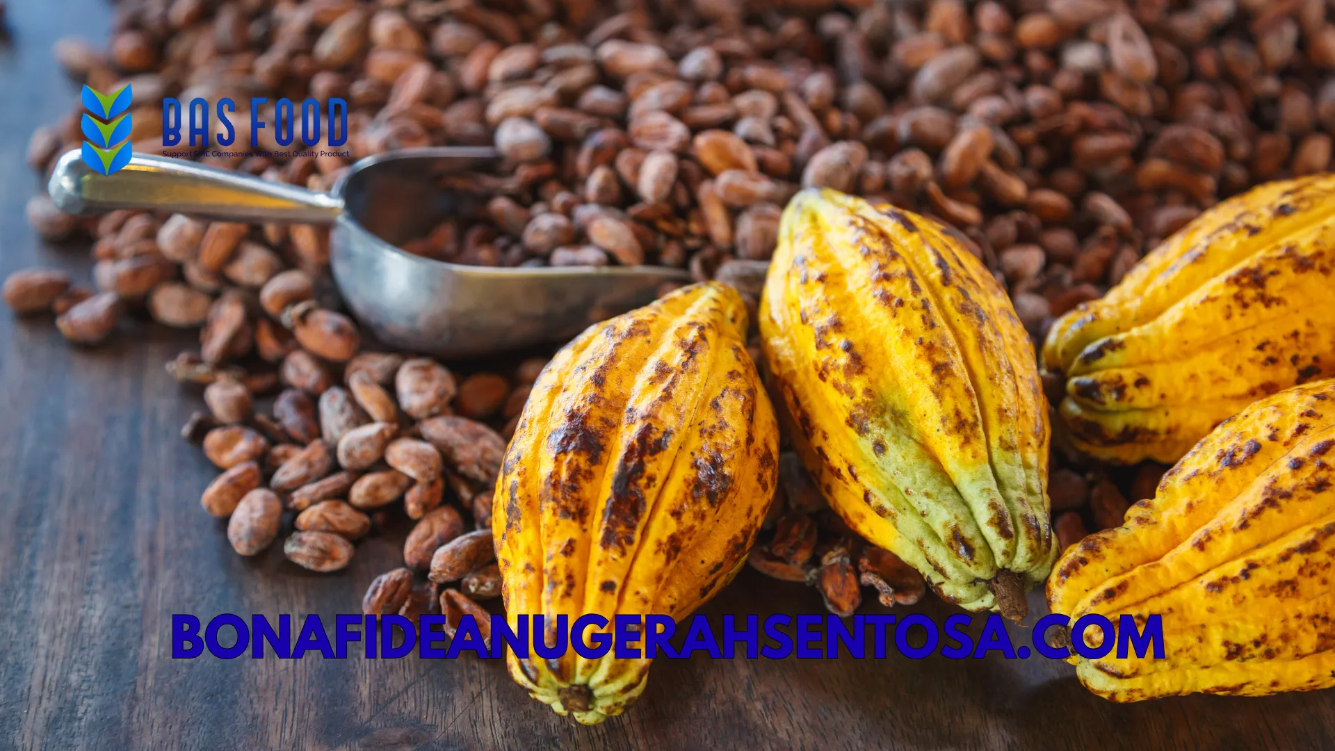 high fat vs medium fat cocoa powder