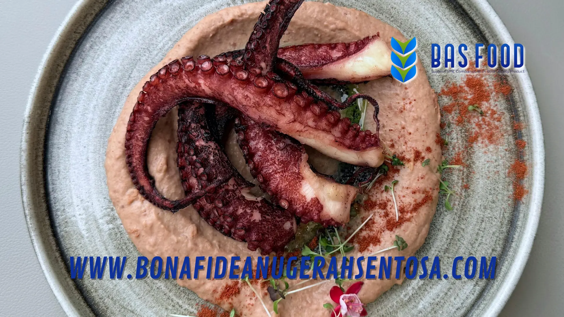 octopus vulgaris foodservice