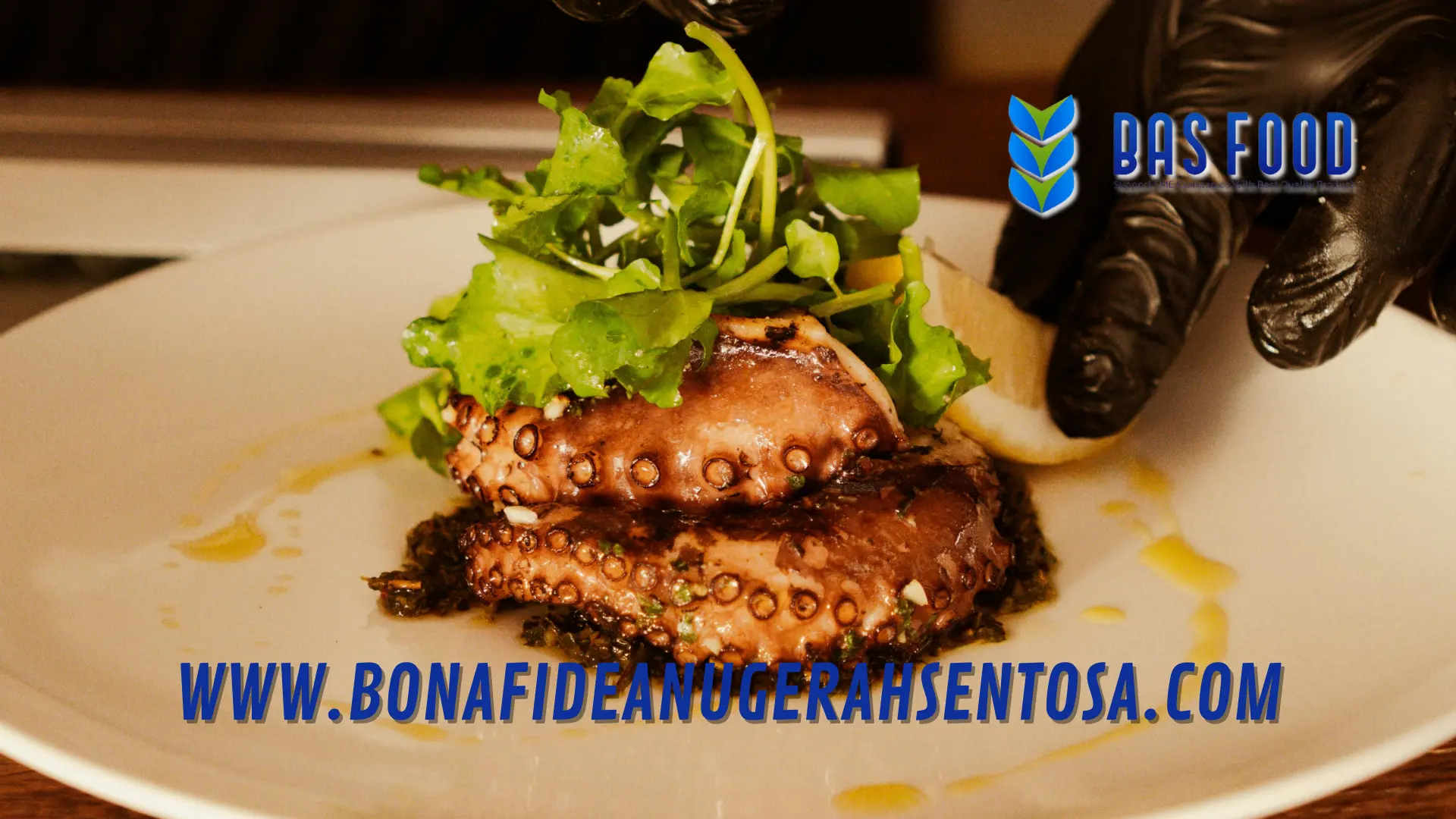 octopus vulgaris for europe