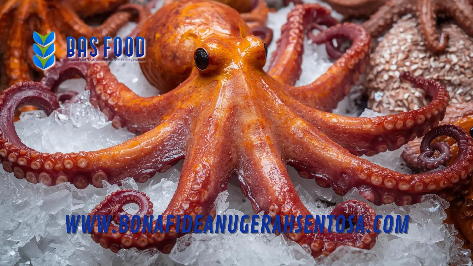 Octopus Vulgaris packaging