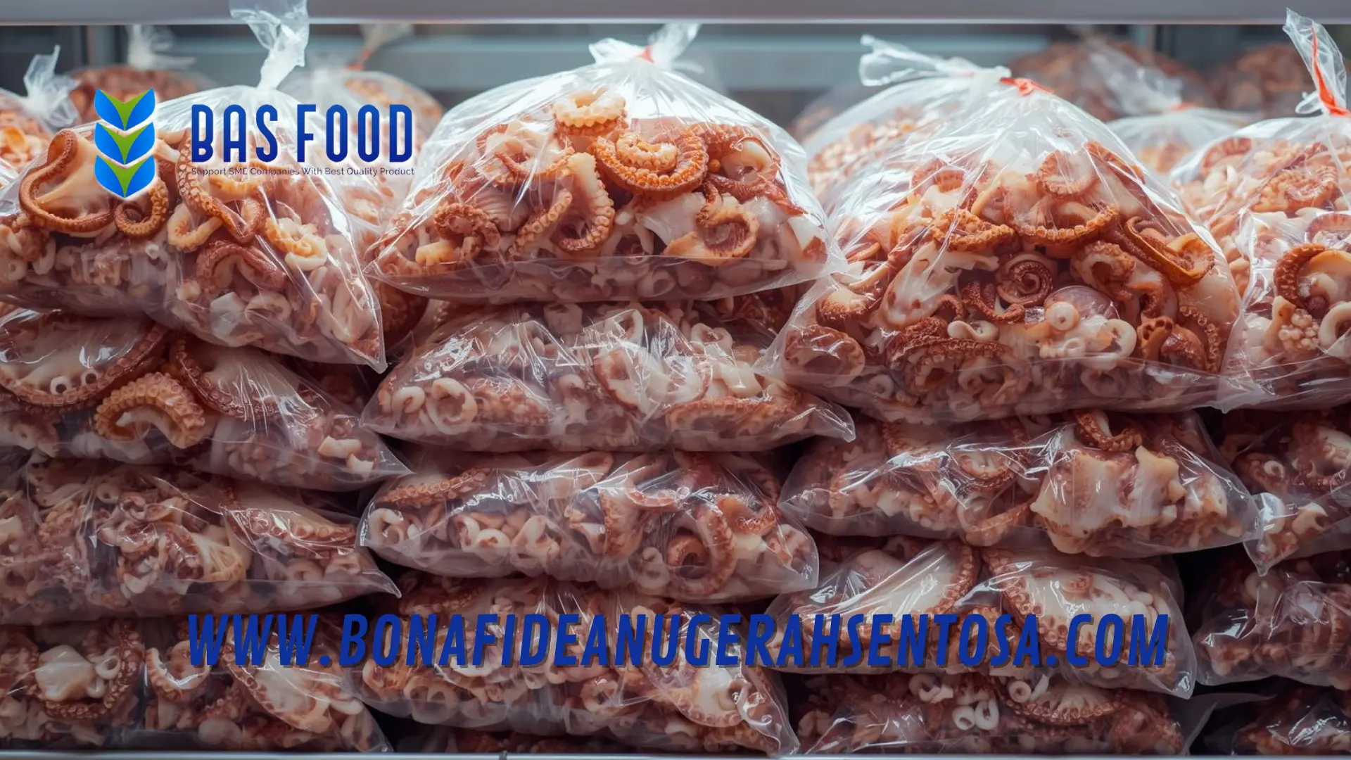 request octopus vulgaris samples