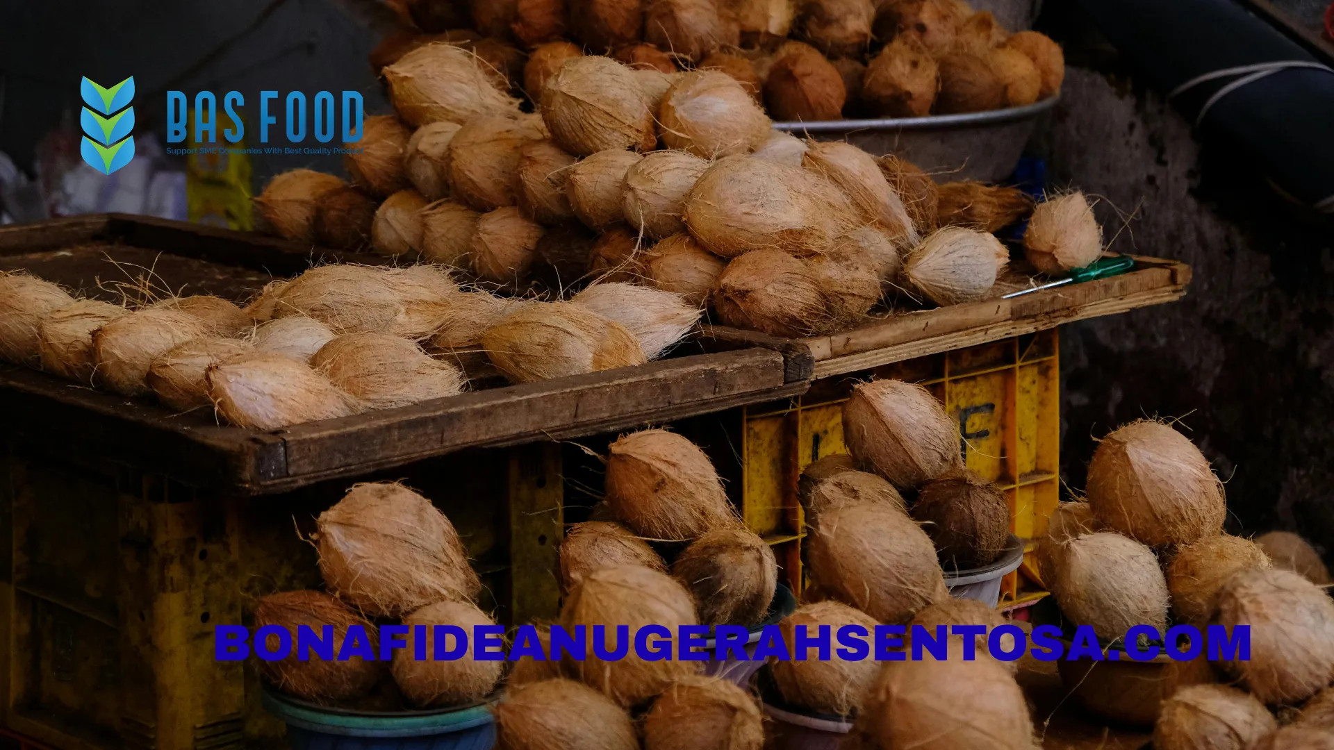 coconut water market