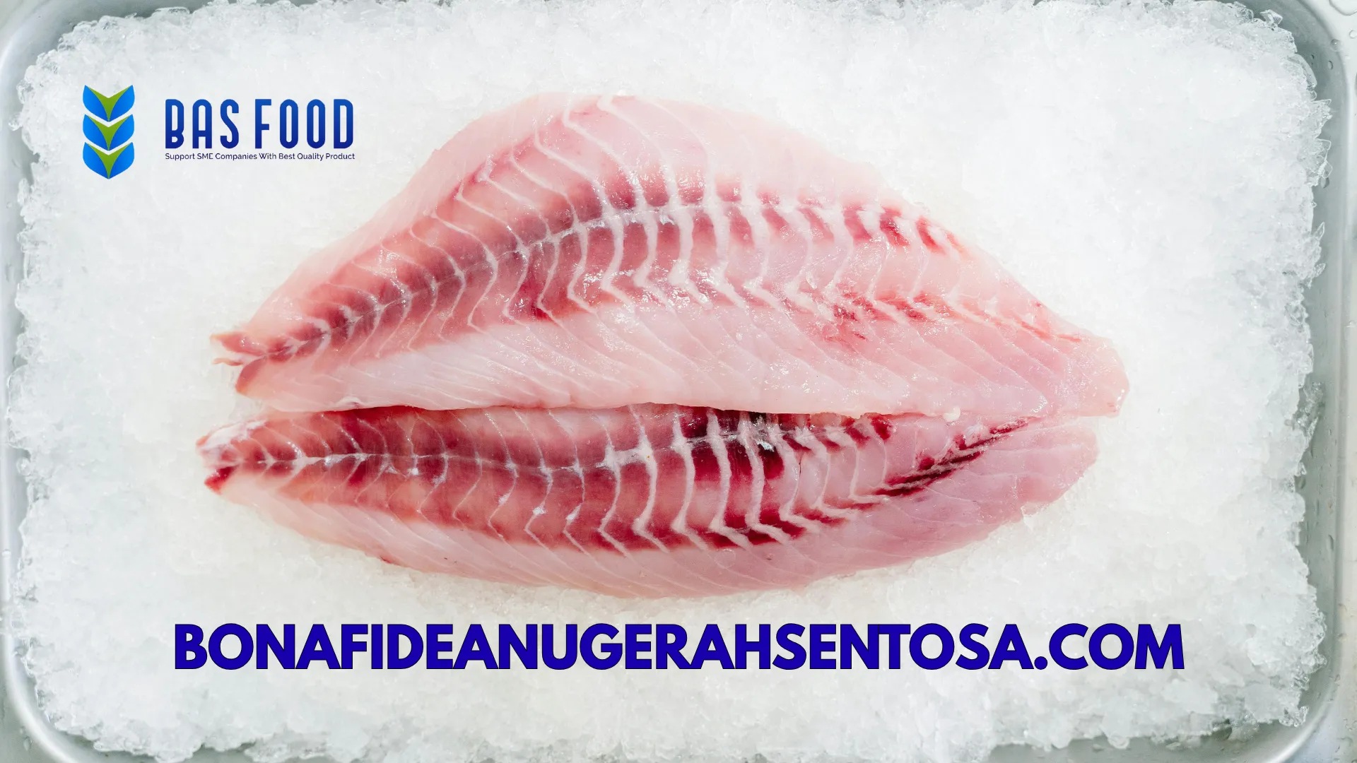 tuna fillet foodservice