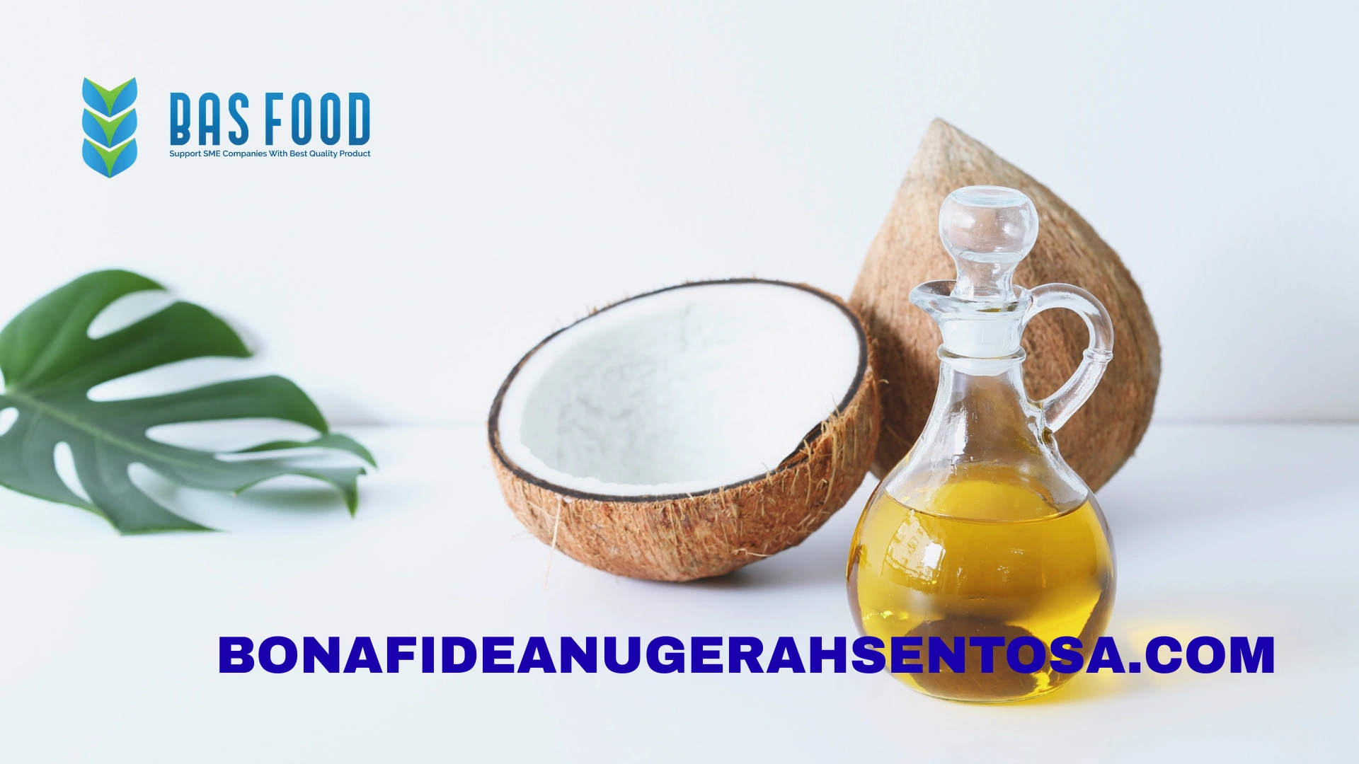 rbd coconut oil export documents