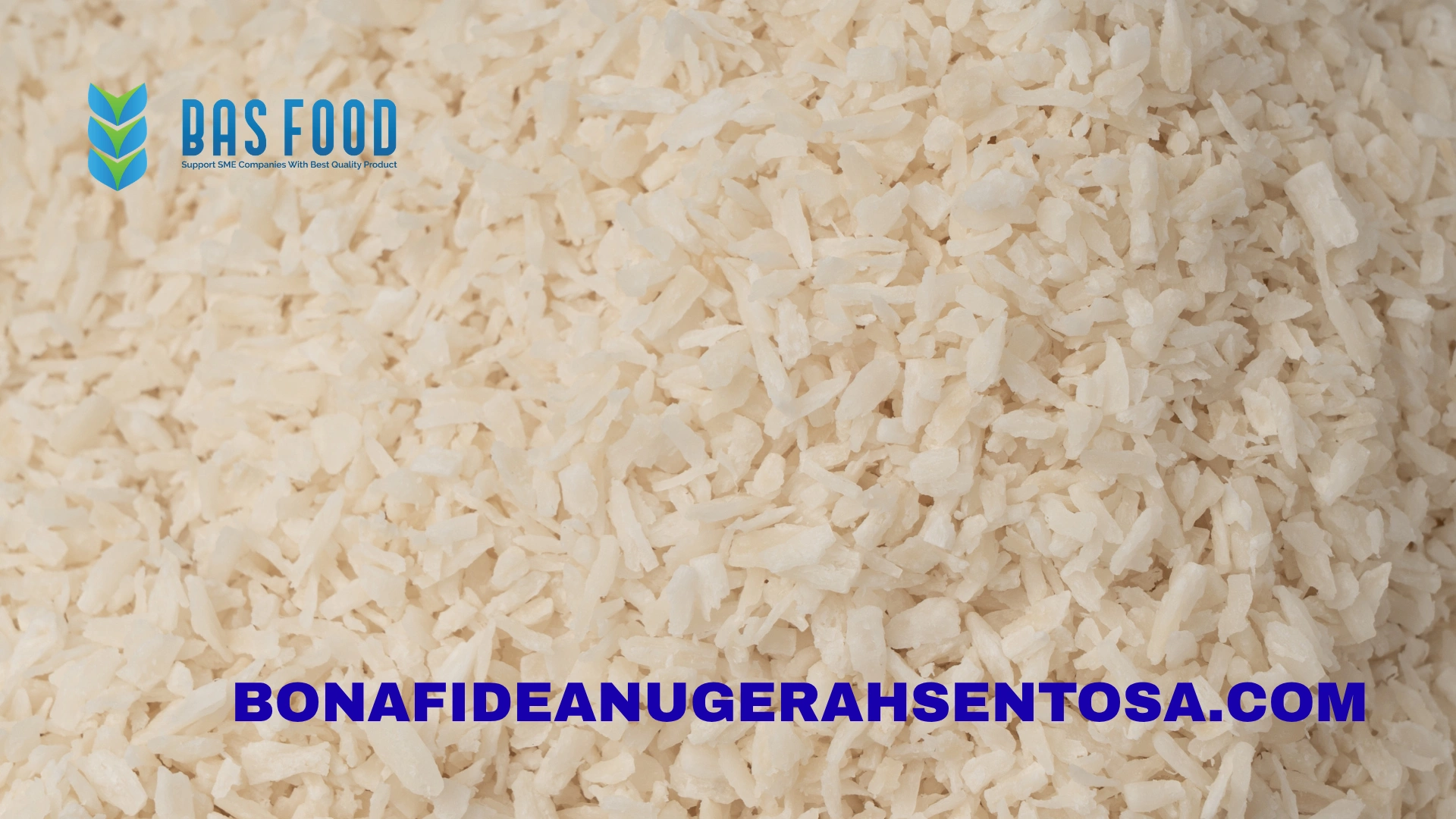 shredded coconut supplier