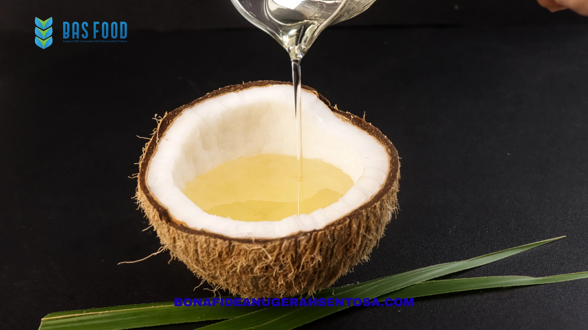 professional virgin coconut oil supplier